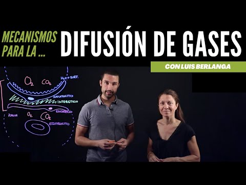 Vídeo: La difusió de gasos?