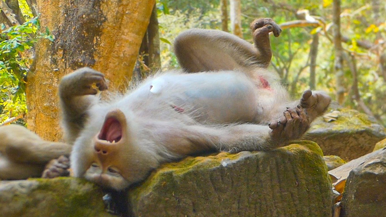 Unpredictable during her pregnancy, Libby gives birth to her fourth child soon