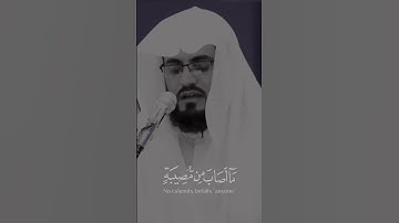 سورة التغابن _____رعد الكردي