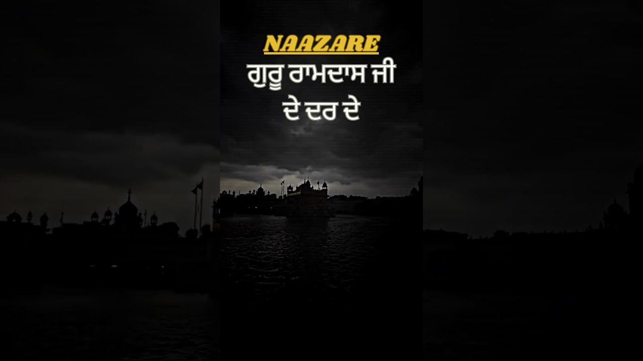 MTC ➡️ ASR #goldentemple #sikh #amritvela #darshan #darbarsahib #harmandirsahib #waheguruji #shorts
