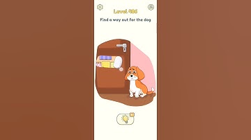 DOP 2 level 486 Find a way out for the dog