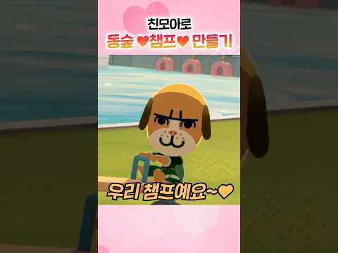 친모아로 동숲 챔프 만들기