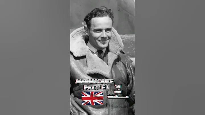Ww2 Shorts :Ace Pilots in Every Nation #shorts #war #ww2 #worldwar2 - DayDayNews