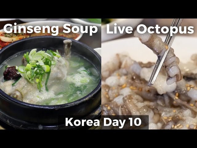 Live Octopus & Chicken Ginseng Soup (Day 10) | Mark Wiens