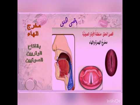 اقصى الحلق