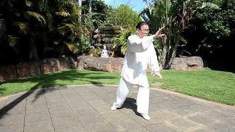 Wu Style Tai Chi Slow Form
