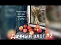 Как провожу выходные. #моядача  #выходные #работница