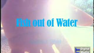 Fish Out Of Water
