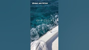 لا تحزن ان الله معنا 💙 #تلاوات #qurantranslation #عبدالرحمن_مسعد