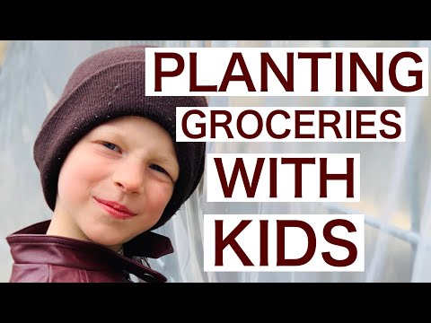 Видео: Хаягдал дээрх хүүхдийн цэцэрлэг: Гал тогооныхоо эд зүйлсээр цэцэрлэгжүүлэлт хийх