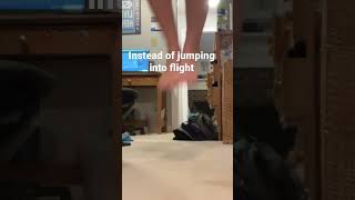 Flying tips for new fairies!! 🧚‍♀️🩷 #fairy #flying #tips Fairy Tricks