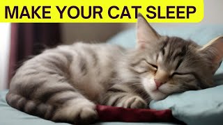 How to Get Your Cat to Sleep all Night