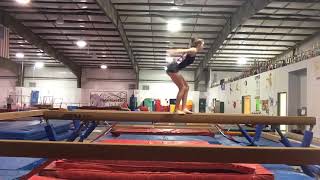 Caitlyn Kline (Class of 2018) Level 10 at Northeast Gymnastics Recent Work