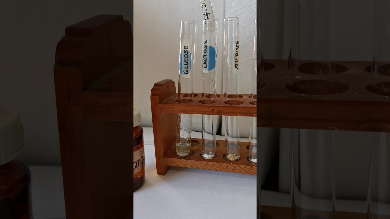 Solubility of Carbohydrate in Ethyl Alcohol