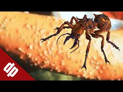 Top 10 Loài Kiến độc Nhất Thế Giới Có Thể Gây Chết Người | DP Channel