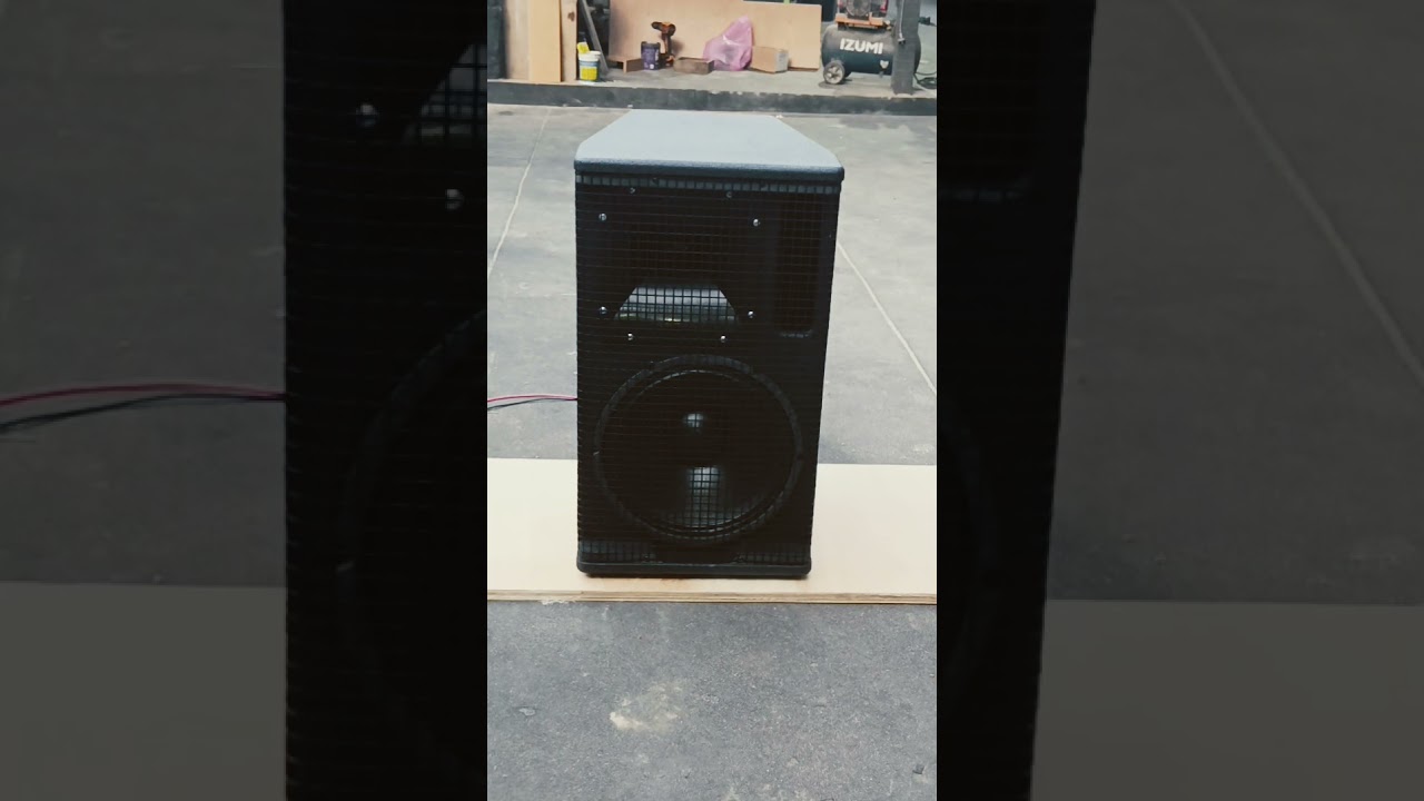 review speaker acr black 12 inch 