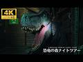 Jurassic World After Dark: Walking the Real Dinosaur Forest at Night in Fukui #恐竜の森ナイトツア