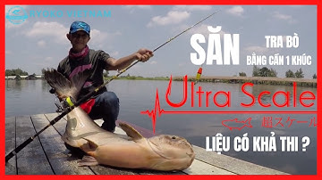 Cần Thủ Săn Tra Bò Bằng Cần Câu Cá 1 Khúc Ultra Scale - Hãy Đón Xem (Phần Cuối)