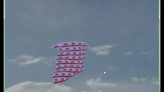 Cloth Simulation- Mass-Spring System
