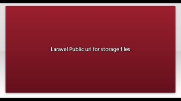 Laravel Public url for storage files
