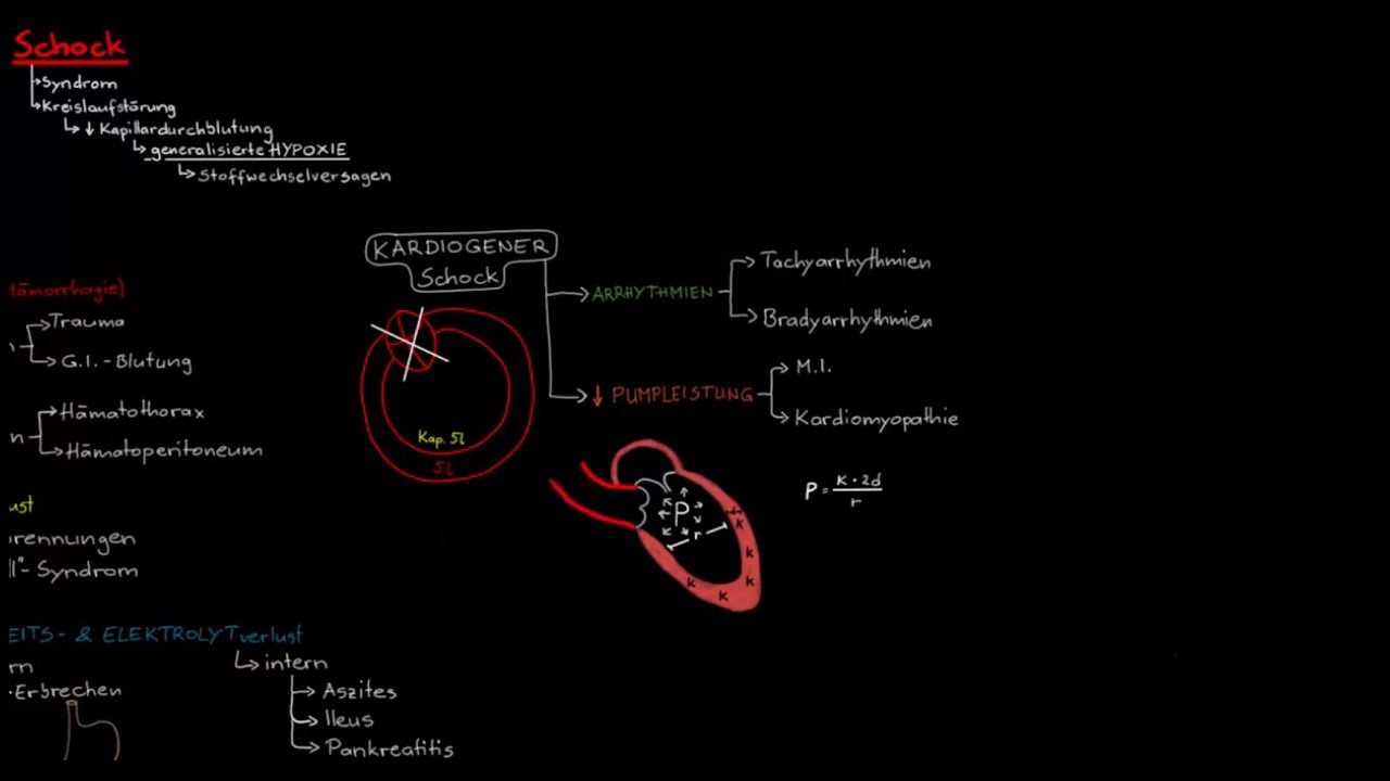 Kreislaufschock (4/7) - Distributiver Schock (Vorschau)