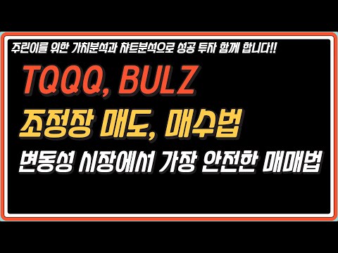 bulz 2022 Update 조정구간에서 안전하게 매수,매도 하는 매매법 TQQQ, BULZ, SOXL, FNGU
