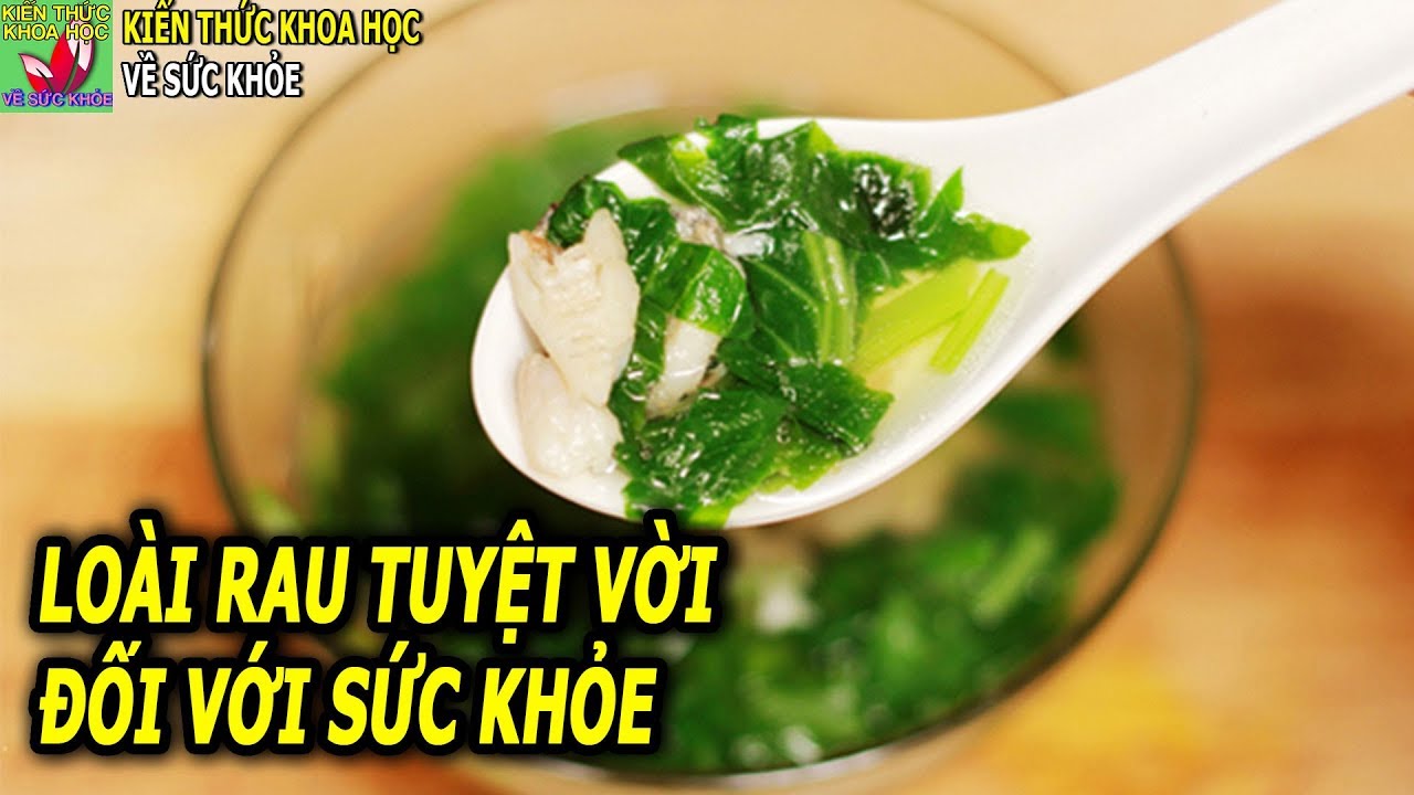 8 Tác dụng tuyệt vời của rau cải cúc đối với sức khỏe - youtube