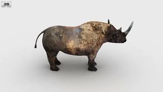 Black rhinoceros Low Poly 3D model by 3DModels.org