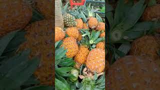 modhupur the capital of pineapple