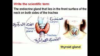 Revision of hormones