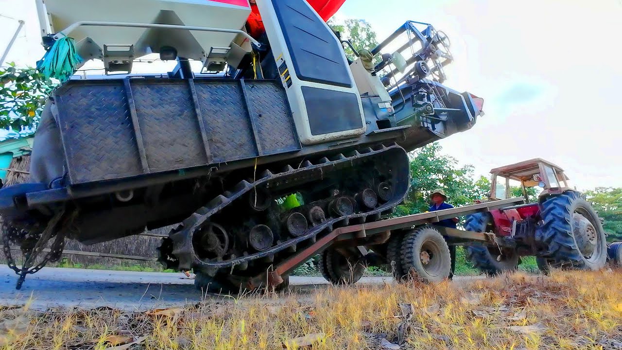 Máy Cắt Lúa Leo Lên Xe Máy Cày Và Xuống Xe, Máy Gặt Đập Liên Hợp Làm Việc Có Nhạc Sôi Động Remix
