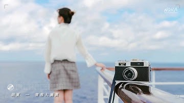 青春大满贯 - 胡夏【動態歌詞/Lyrics Video】