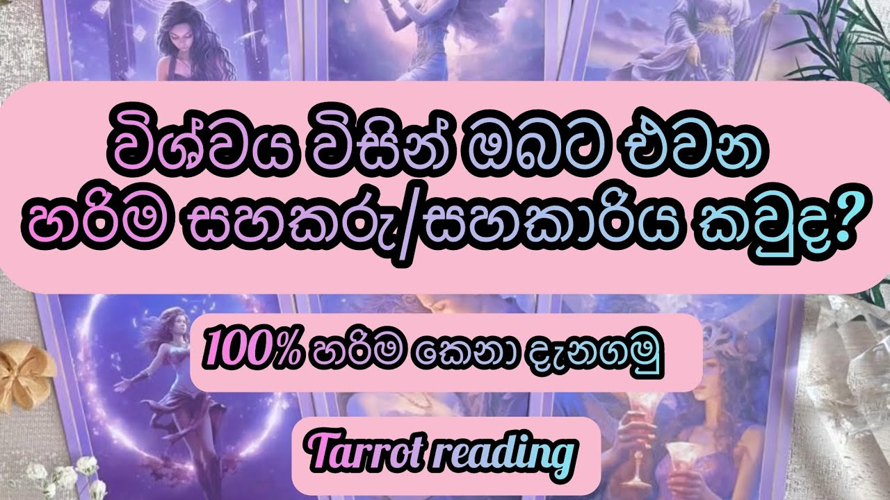 ඔයාට හම්බෙන්න ඉන්න හරිම කෙනා ගැන|tarrot reading  sinhala