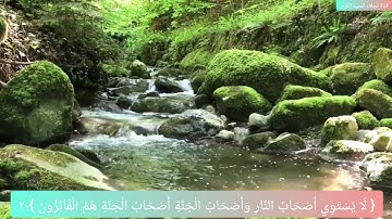 الاية ٢٠ من سورة الحشر مكرره ٥مرات للإتقان بصوت الشيخ ايمن سويد 