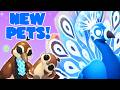 How to Get Moonbeam Peacock! Salon Update | Adopt Me Roblox | Riivv3r