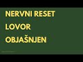 Tihi regulator napetosti: mecerat od lovorovog praha (objašnjeno) #nervnisistem #emocije #biljke