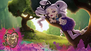 How powerful is the Cheshire Cat?
