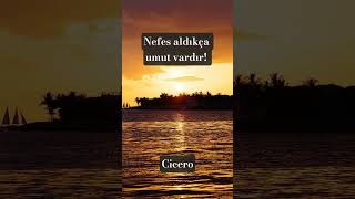 Yaşamak Umut Etmektir... Resimi