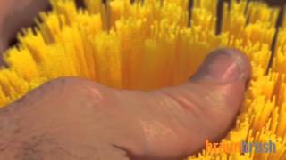 Epoxy Vs Staple Set Brushes