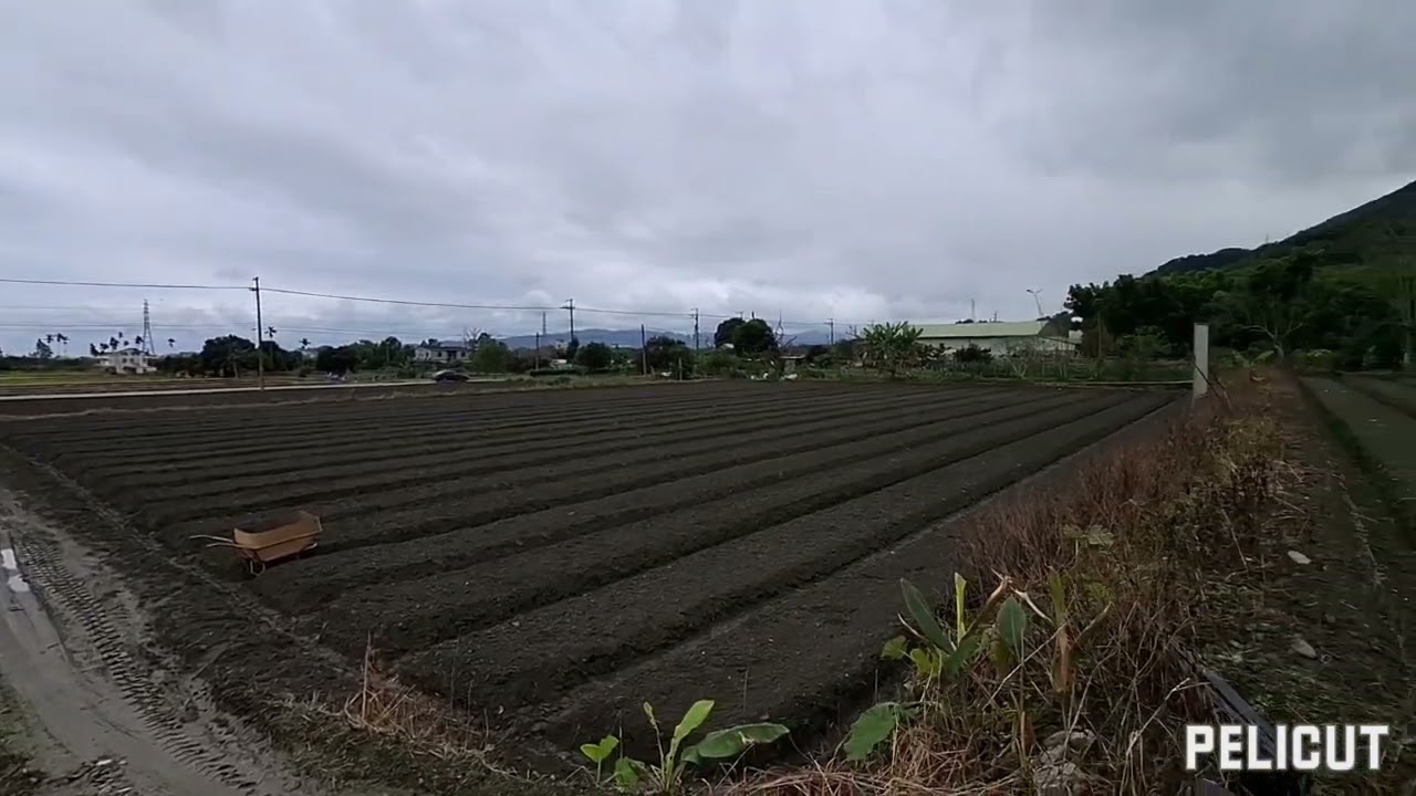 ● 案名：《 售 》 慶豐／方正／足坪／農地／臨路／臨灌溉溝渠／住商／全捷／花蓮房地林孟頤0963-823936／5021388888