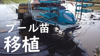 2024】納車14年目田植機。令和六年度田植え初日。試運転調整。 - YouTube