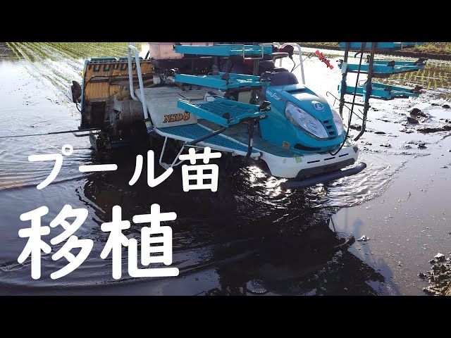田植え機です 田植機｜製品・サービス｜農業｜ヤンマー
