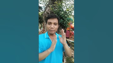 วิธีกำหนด URL สำหรับเว็บไซต์หลายภาษา ให้ดีต่อ SEO