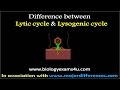 Lytic Cycle Versus Lysogenic Cycle in Bacterial Phages