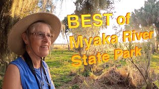 The BEST of Florida&#39;s Myaka River State Park - Eco Tram, Canopy, Birding, Hiking, Aligators
