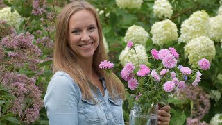 How To Grow And Harvest China Asters Northlawn Flower Farm