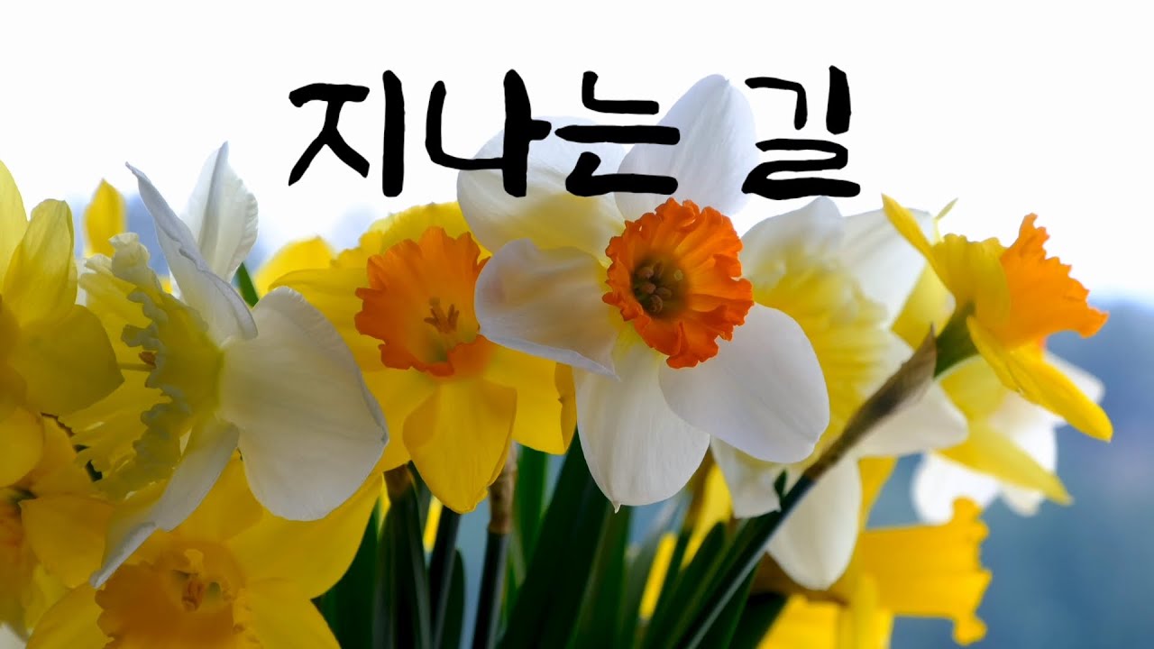 ☘️ 지나는 길 ☘️ 