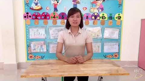 MTXQ  Động vật sống trong rừng MG 4T