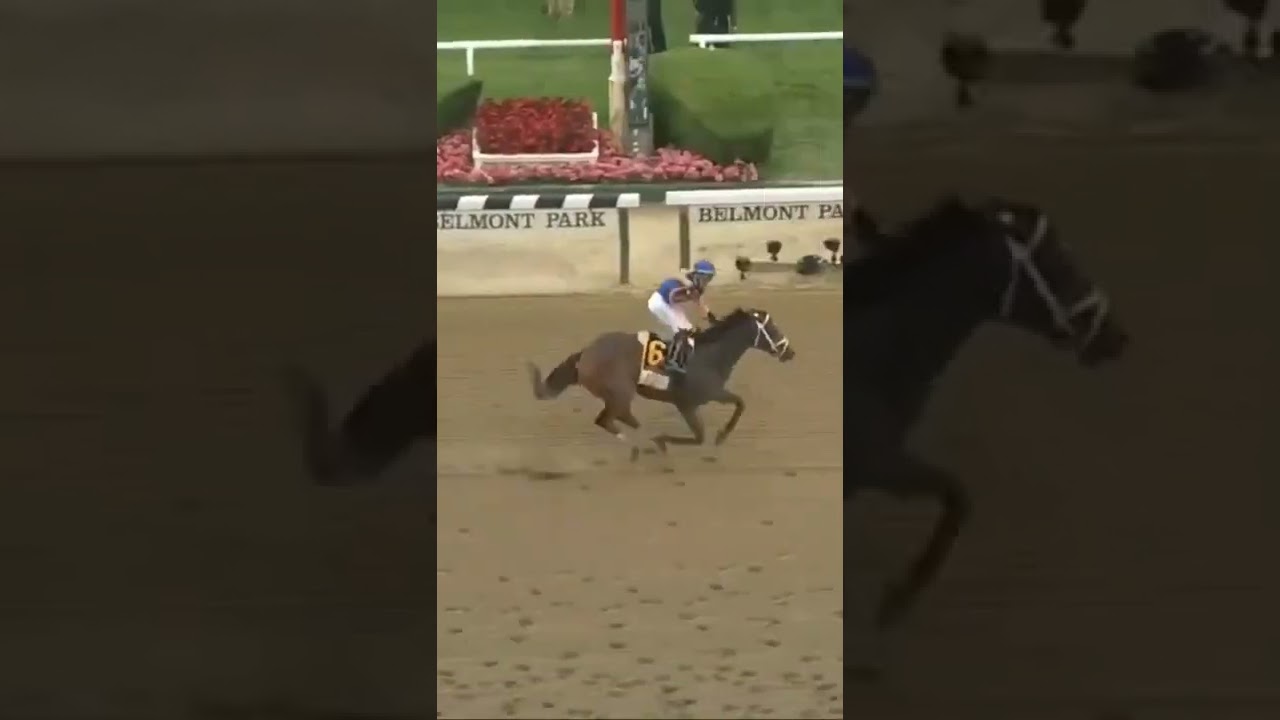 belmont stakes 2022 MO donegal