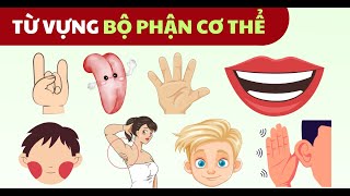 Bé học tiếng Anh thông qua chủ đề các bộ phận trên cơ thể | Từ vựng tiếng anh cho trẻ | Kid Routes